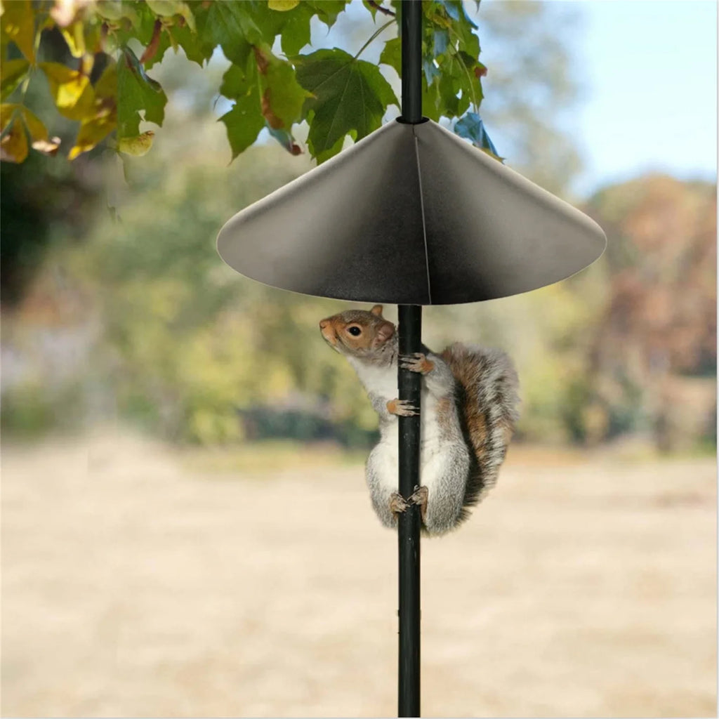 Squirrel Proof Baffle, Protecting outside Pole Bird Feeders and Bird Houses, Hang Mount Raccoon and Squirrel Guard Stopper for Shepherd Hooks, 12Inch