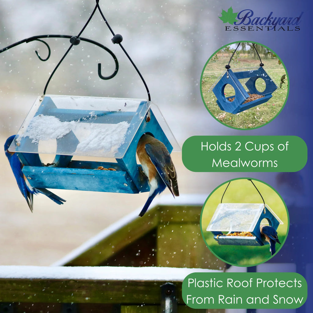 Bluebird Feeder Bird Seed and Mealworms Bird Feeder Blue