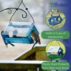 Bluebird Feeder Bird Seed and Mealworms Bird Feeder Blue