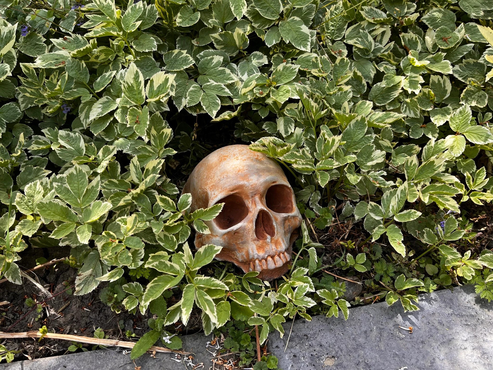 Garden Skull, Creepy Garden Decor, Garden Gifts, Halloween Garden Decor, Concrete Human Skull, Spooky Garden Decor