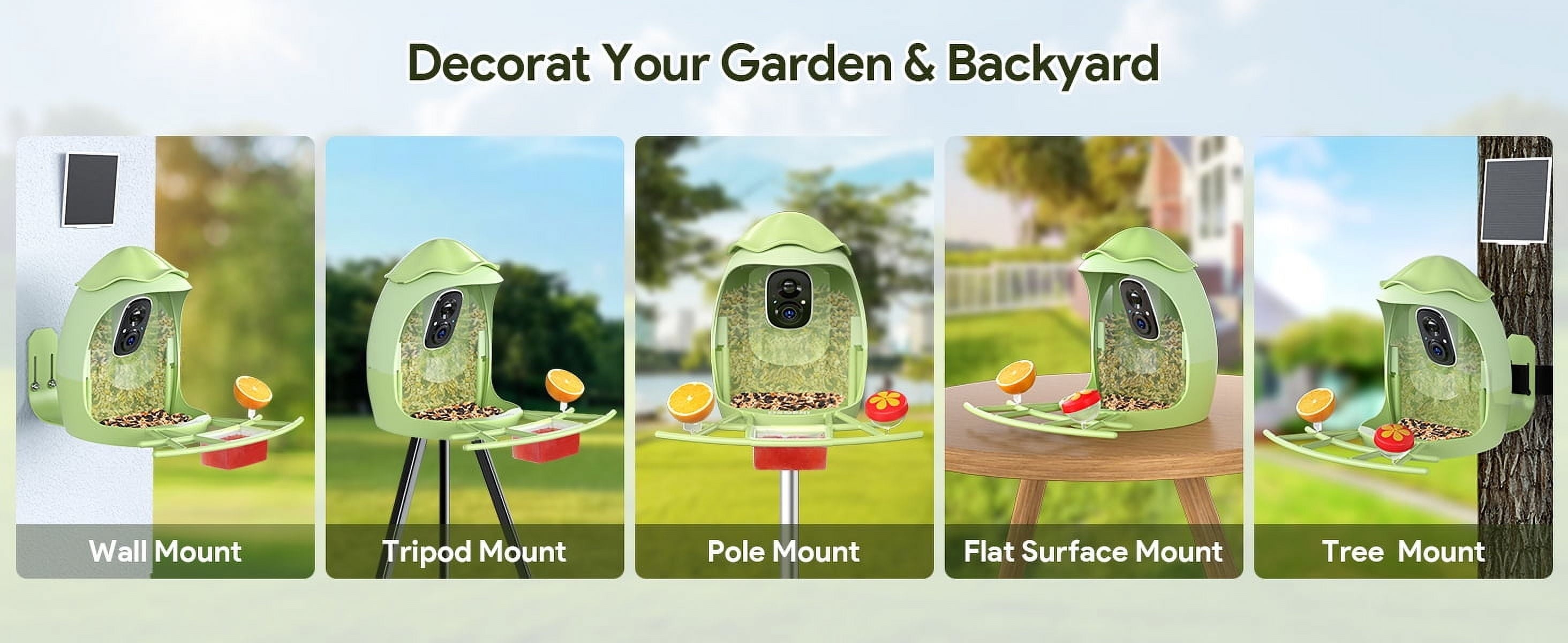 Smart Bird Feeder with Camera, AI Identify 10000+ Species, 1080P HD Bird Watching Camera with Solar Panel, Auto-Capture & Motion Detection, Ideal Gift for Bird Lovers