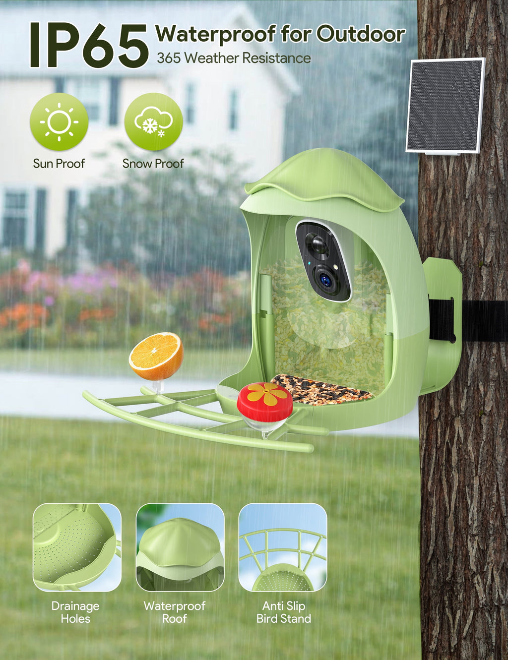 Smart Bird Feeder with Camera, AI Identify 10000+ Species, 1080P HD Bird Watching Camera with Solar Panel, Auto-Capture & Motion Detection, Ideal Gift for Bird Lovers
