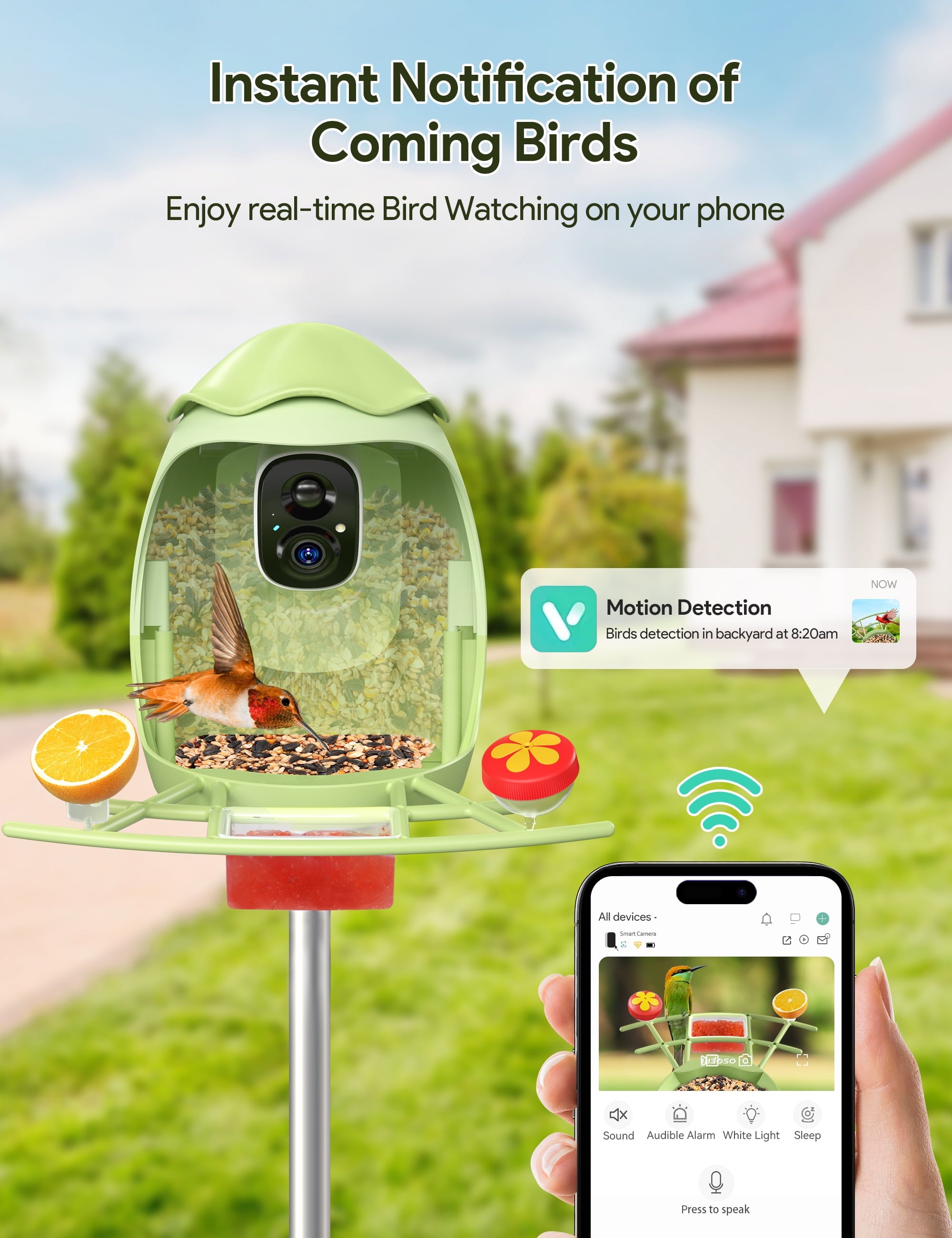 Smart Bird Feeder with Camera, AI Identify 10000+ Species, 1080P HD Bird Watching Camera with Solar Panel, Auto-Capture & Motion Detection, Ideal Gift for Bird Lovers