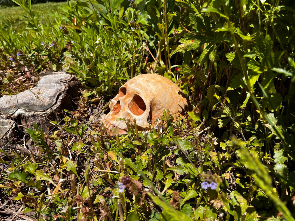 Garden Skull, Creepy Garden Decor, Garden Gifts, Halloween Garden Decor, Concrete Human Skull, Spooky Garden Decor