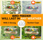Nature’S Hangout Clear Suction Cup Window Bird Feeder for Wild Birds
