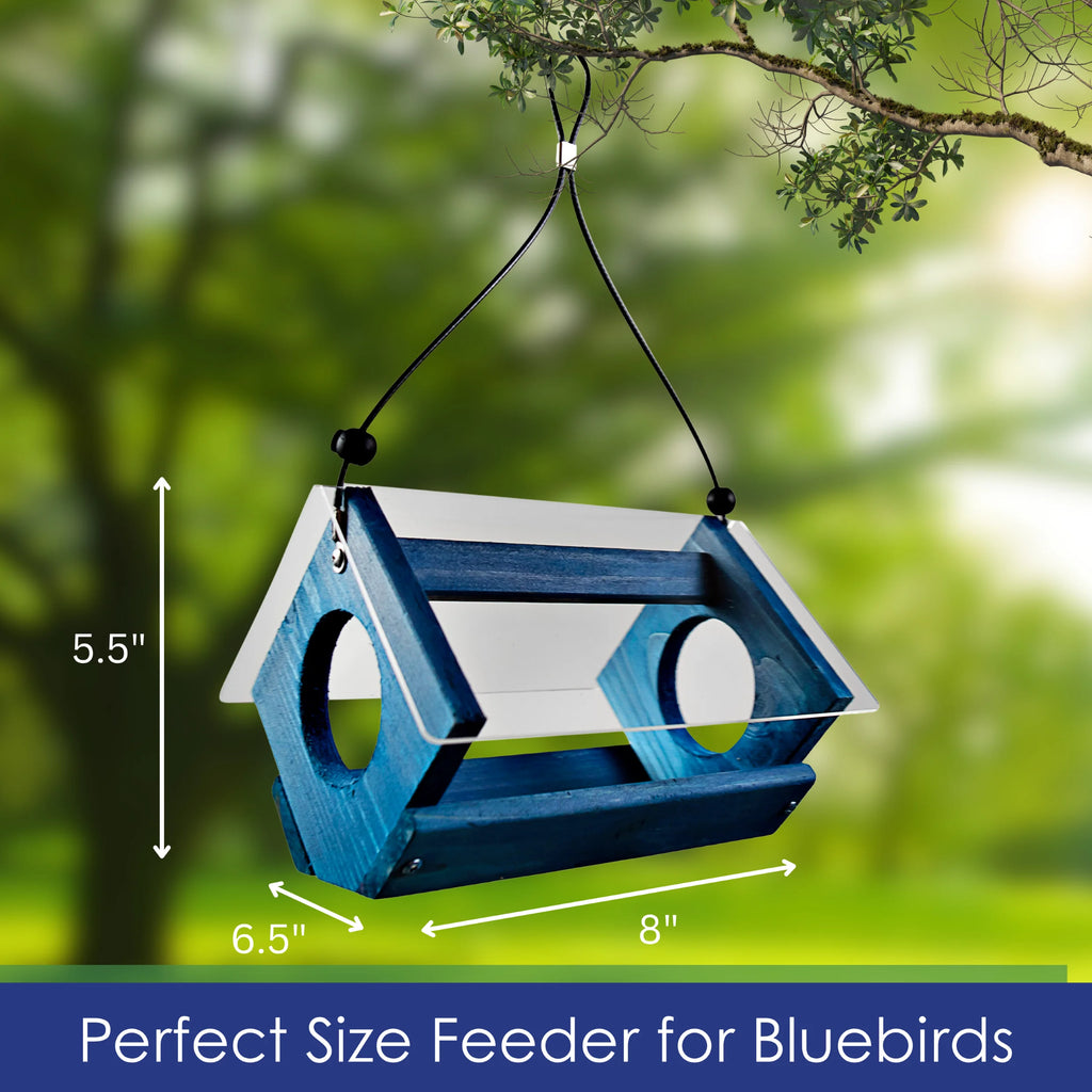 Bluebird Feeder Bird Seed and Mealworms Bird Feeder Blue