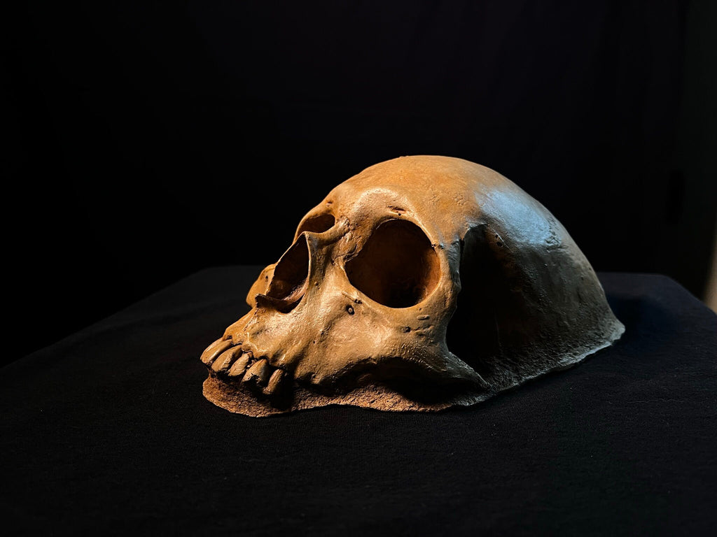 Garden Skull, Creepy Garden Decor, Garden Gifts, Halloween Garden Decor, Concrete Human Skull, Spooky Garden Decor