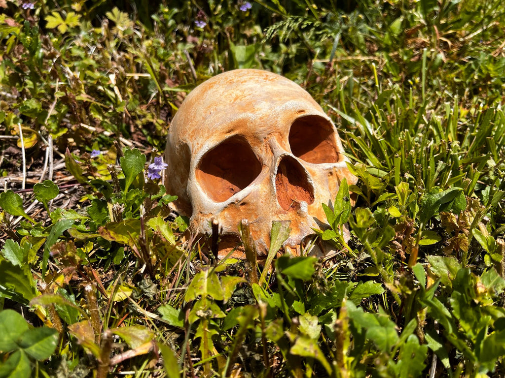 Garden Skull, Creepy Garden Decor, Garden Gifts, Halloween Garden Decor, Concrete Human Skull, Spooky Garden Decor