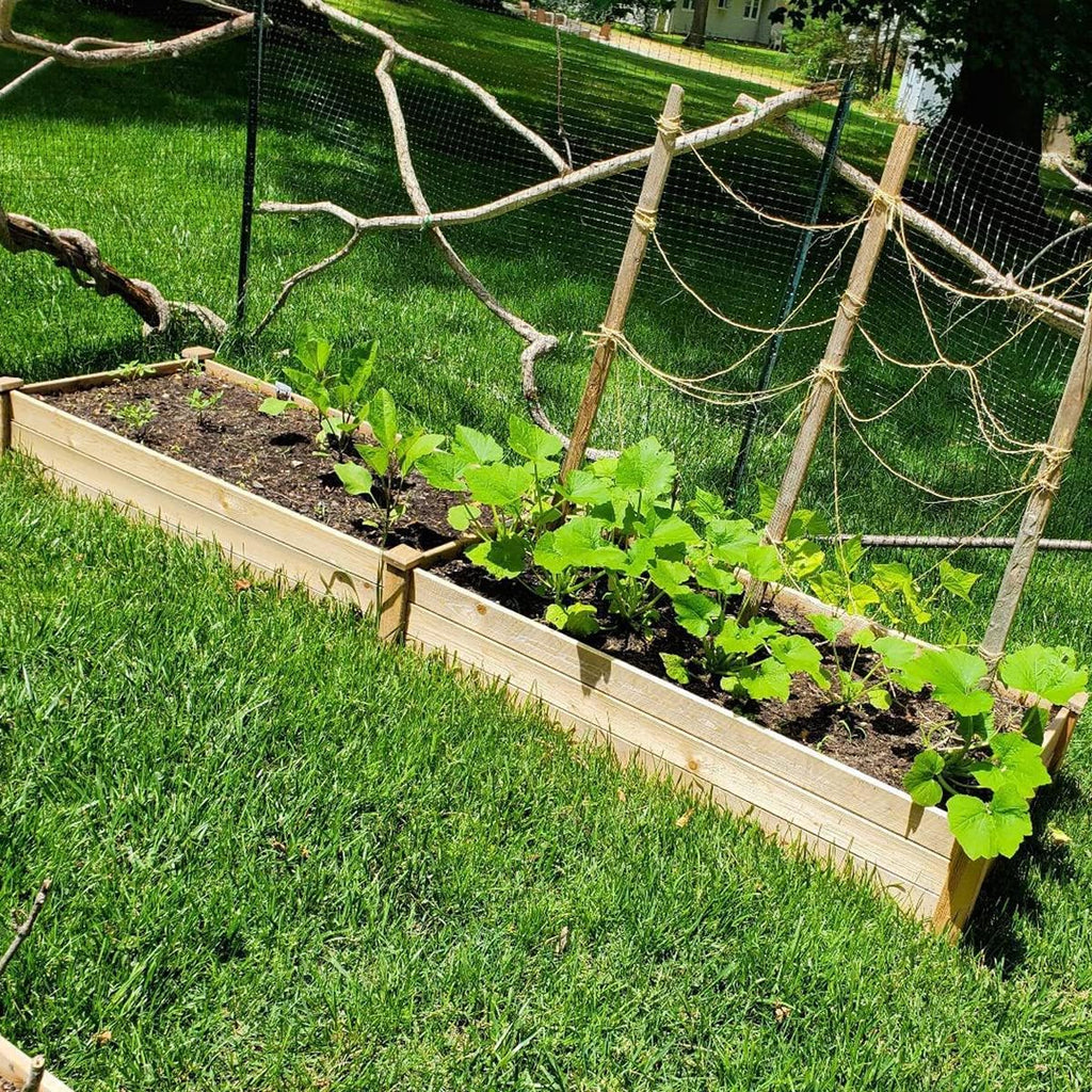 8X2 FT Raised Garden Bed Kit Elevated Wood Planter Garden Box Stand for for Backyard, Patio Outdoor Solid Wood