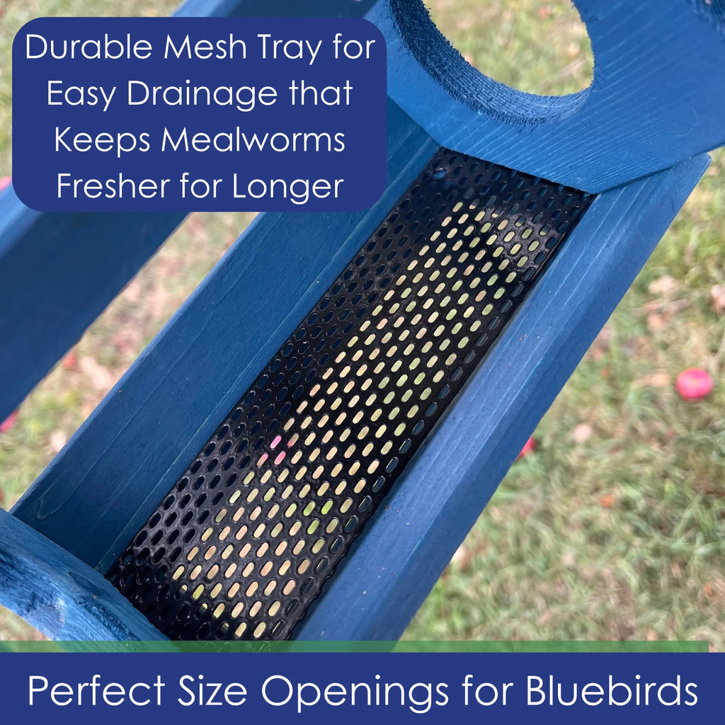 Bluebird Feeder Bird Seed and Mealworms Bird Feeder Blue