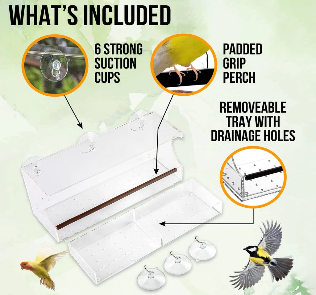 Nature’S Hangout Clear Suction Cup Window Bird Feeder for Wild Birds