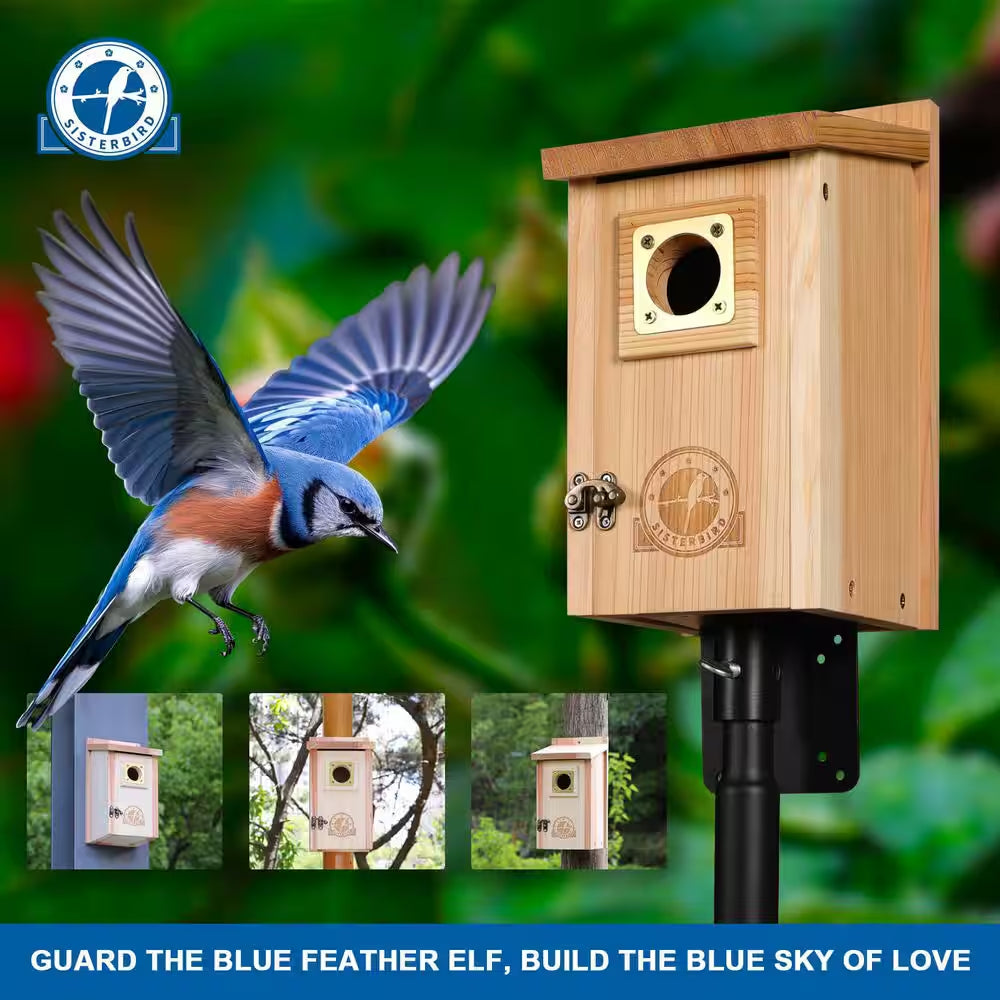 2-Pack Wood Bird Houses for outside Clearance with Copper Guard, Cedar Bird House Outdoor, Bluebird Assembly Required