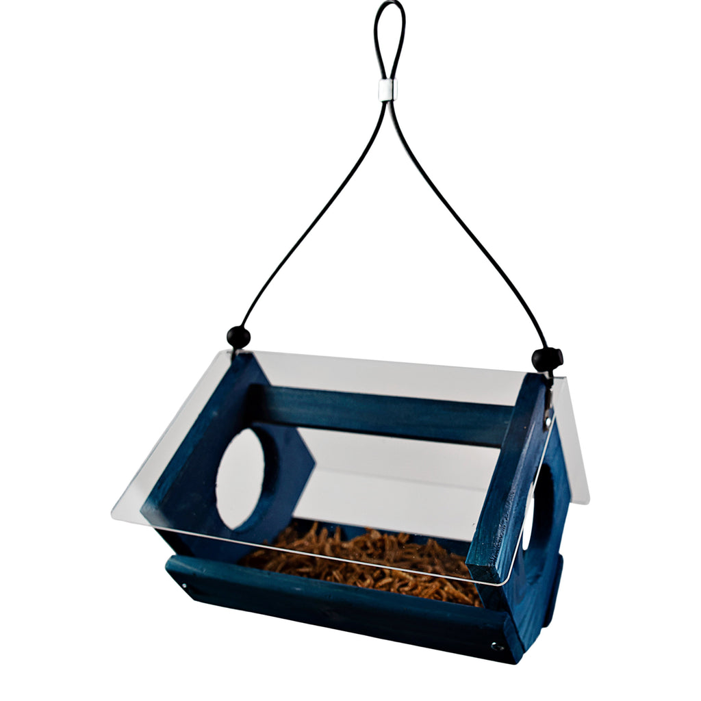 Bluebird Feeder Bird Seed and Mealworms Bird Feeder Blue