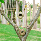 Hanging Bird House - Bird Houses for Outside,Birdhouses for Outdoors Hanging,Set of 2 Hummingbird House. …