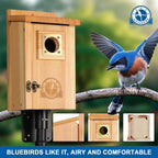 2-Pack Wood Bird Houses for outside Clearance with Copper Guard, Cedar Bird House Outdoor, Bluebird Assembly Required