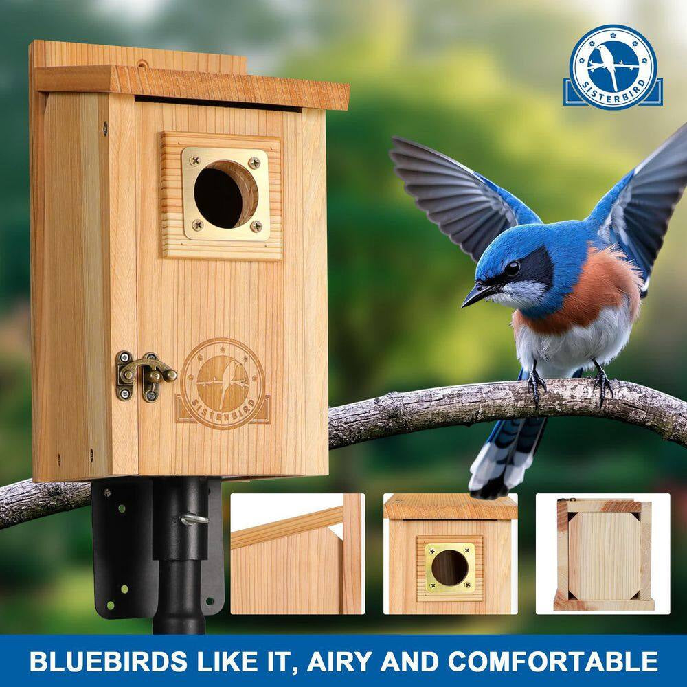 2-Pack Wood Bird Houses for outside Clearance with Copper Guard, Cedar Bird House Outdoor, Bluebird Assembly Required