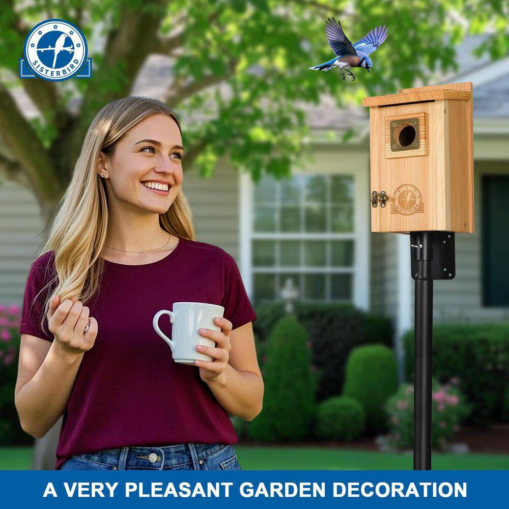 2-Pack Wood Bird Houses for outside Clearance with Copper Guard, Cedar Bird House Outdoor, Bluebird Assembly Required