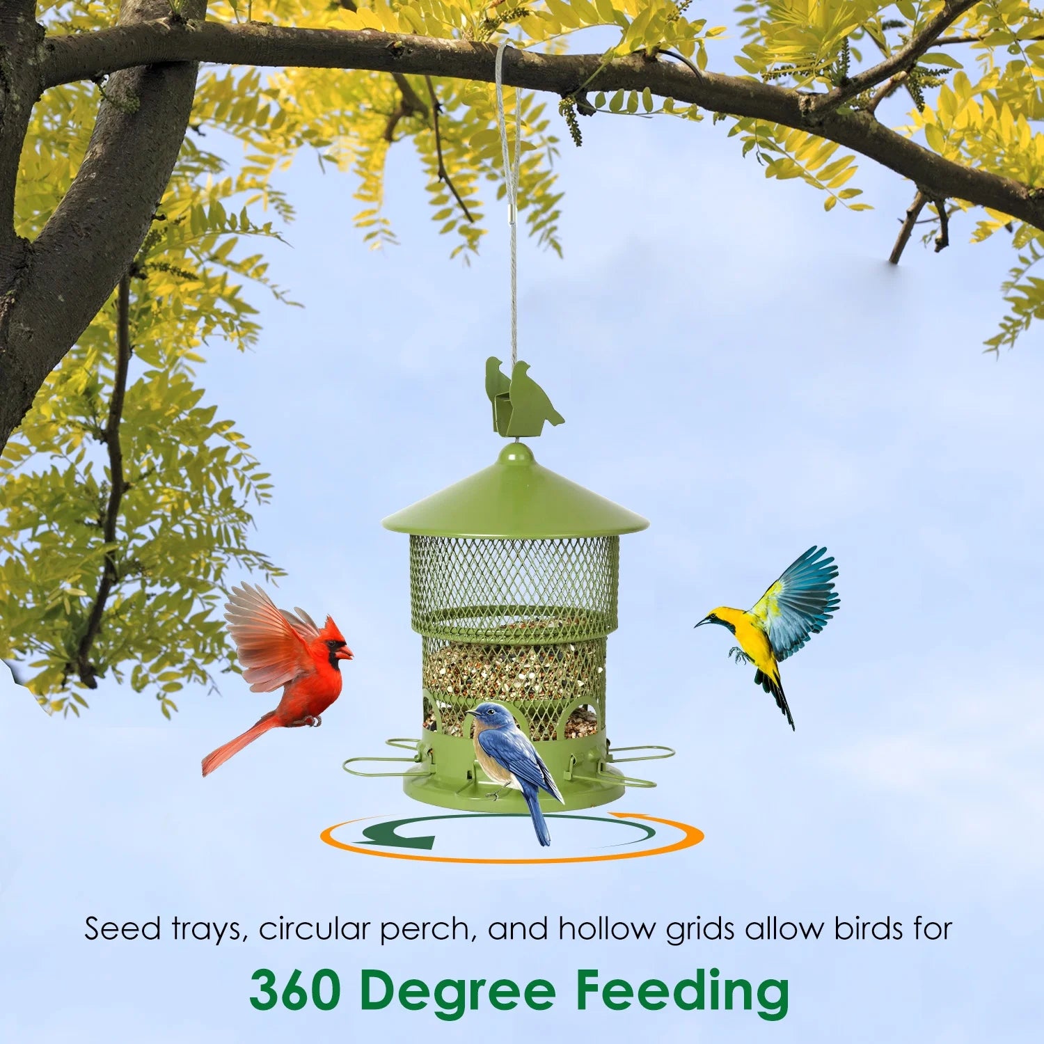 Squirrel-Proof Wild Bird Feeder - Outdoor Hanging Mesh Feeder with 6 Feeding Ports - 4LB Large Capacity, Attracts Bluebirds, Cardinals, Finches, Blue Jays, and More