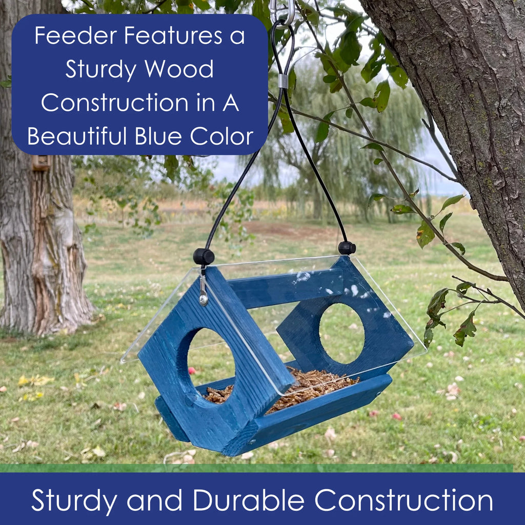 Bluebird Feeder Bird Seed and Mealworms Bird Feeder Blue