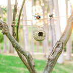 Hanging Bird House - Bird Houses for Outside,Birdhouses for Outdoors Hanging,Set of 2 Hummingbird House. …