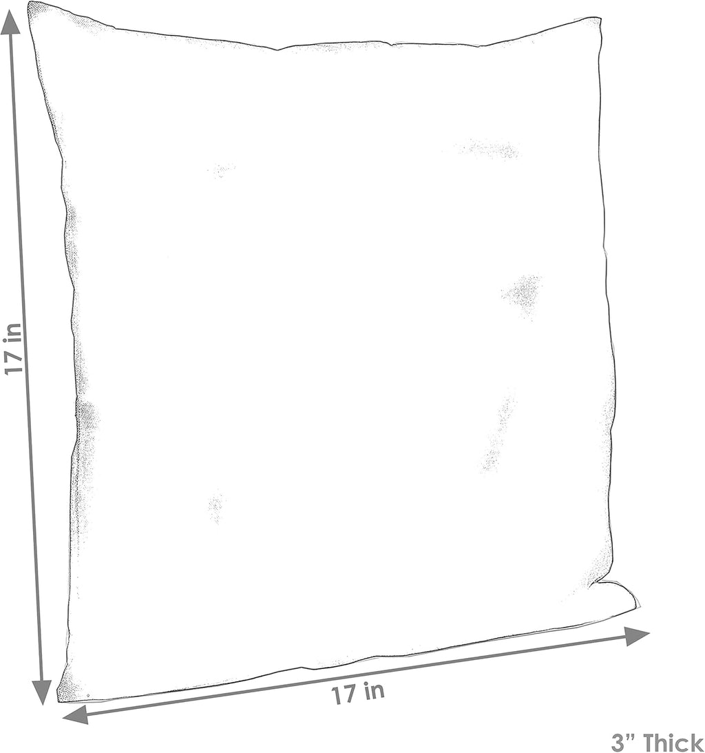 Indoor and Outdoor Decorative Throw Pillows Set of 2 with Zipper Closures and Inserts - 17-Inch Square Patio Furniture Accents - Weather-Resistant Polyester - Beach-Bound Stripe