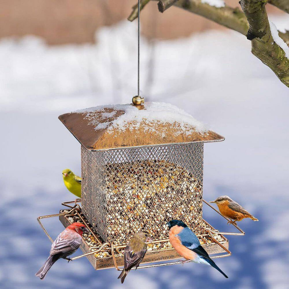 Heavy Duty Metal Bird Feeders for Outdoor Hanging, 3. 5LB Large Capacity Wild Bird Feeder