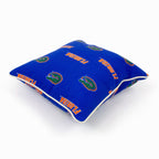 Florida Gators  Indoor or Outdoor Decorative Pillow Pair, 16 in X 16 In