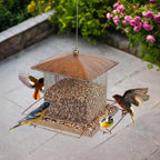Heavy Duty Metal Bird Feeders for Outdoor Hanging, 3. 5LB Large Capacity Wild Bird Feeder