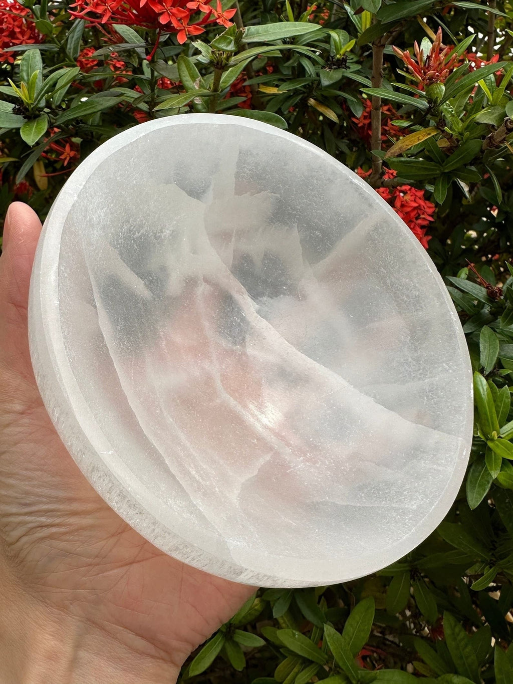 Extra Large Selenite Bowl, 6" Gemstone Carved Selenite Crystal Charging Bowl,...