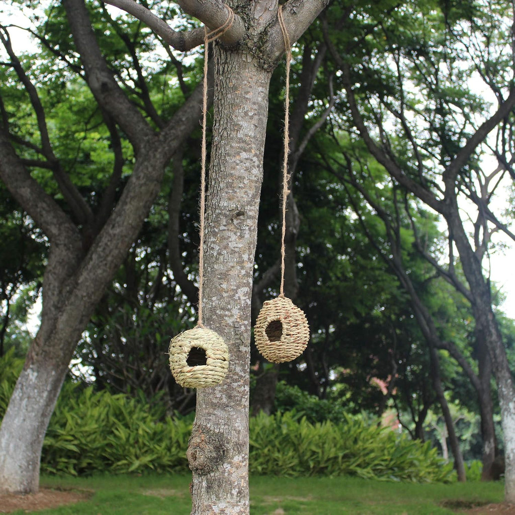 Hanging Bird House - Bird Houses for Outside,Birdhouses for Outdoors Hanging,Set of 2 Hummingbird House. …