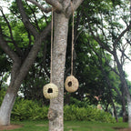 Hanging Bird House - Bird Houses for Outside,Birdhouses for Outdoors Hanging,Set of 2 Hummingbird House. …