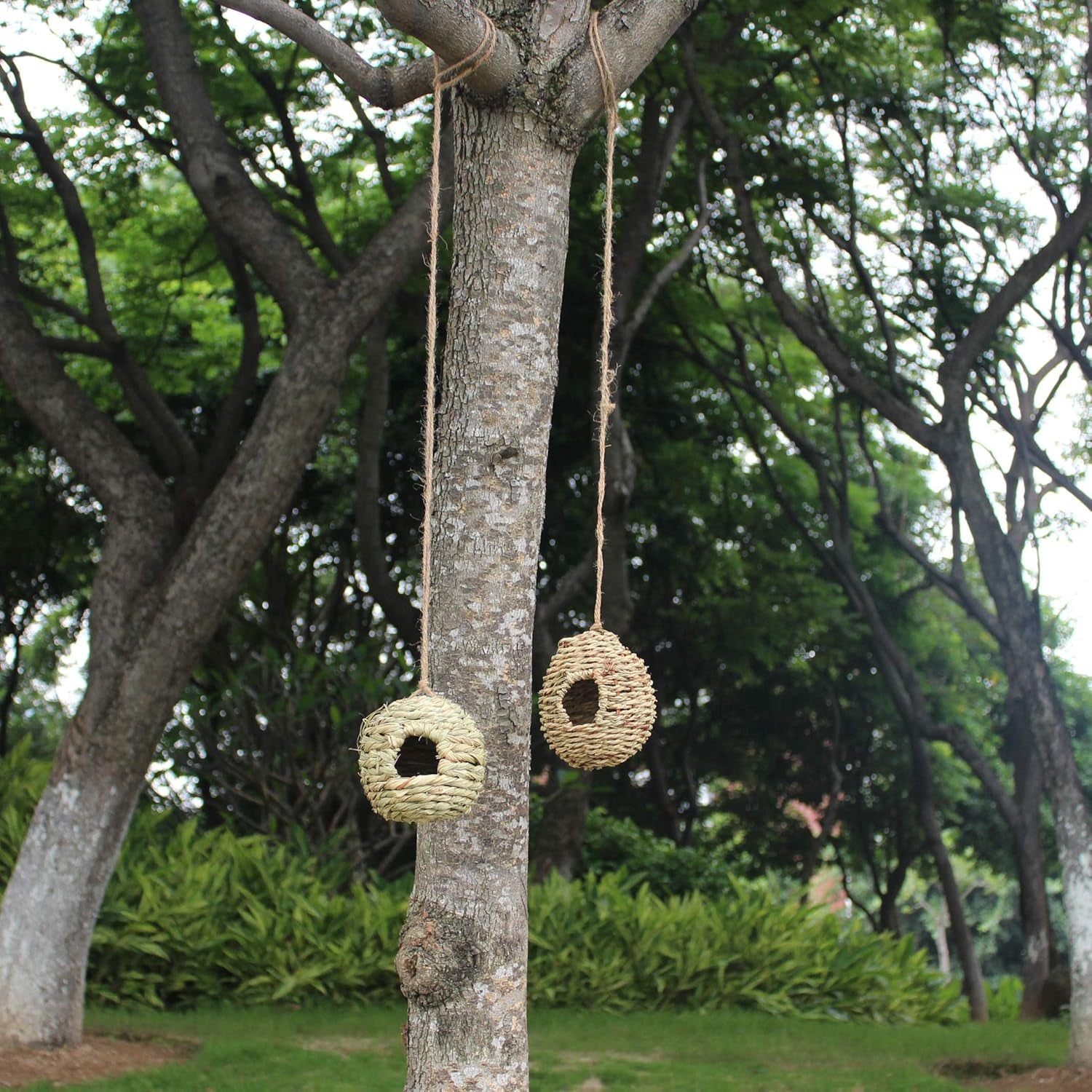 Hanging Bird House - Bird Houses for Outside,Birdhouses for Outdoors Hanging,Set of 2 Hummingbird House. …