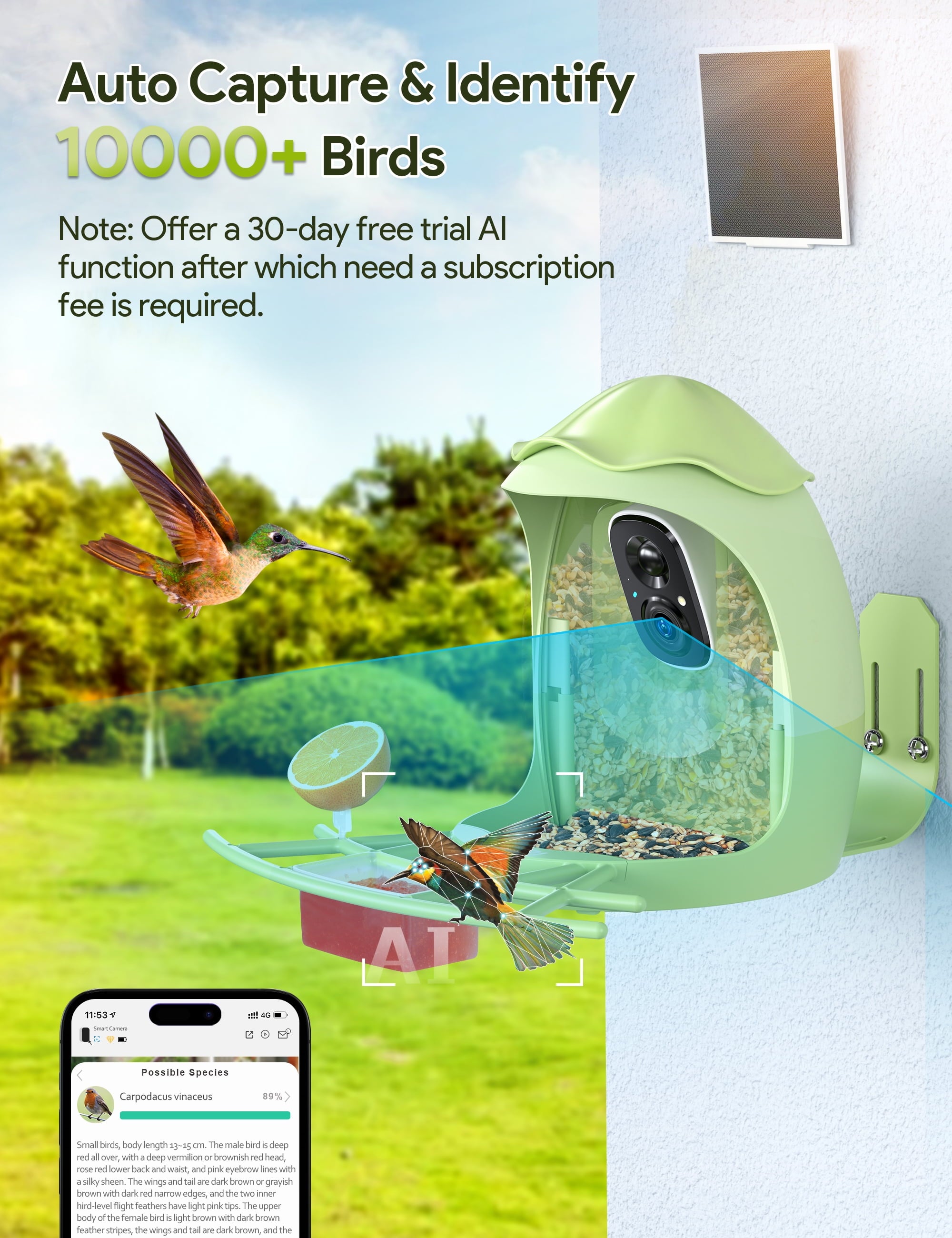 Smart Bird Feeder with Camera, AI Identify 10000+ Species, 1080P HD Bird Watching Camera with Solar Panel, Auto-Capture & Motion Detection, Ideal Gift for Bird Lovers