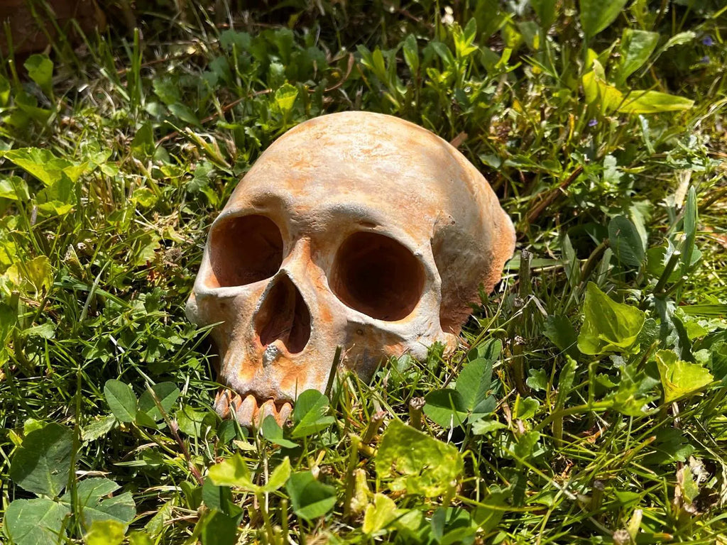 Garden Skull, Creepy Garden Decor, Garden Gifts, Halloween Garden Decor, Concrete Human Skull, Spooky Garden Decor