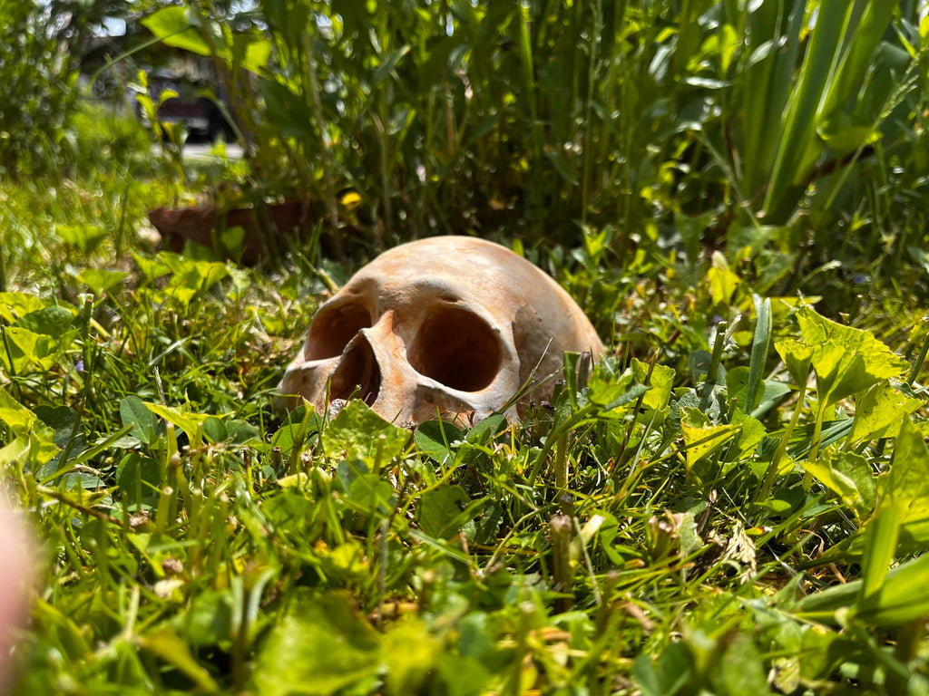 Garden Skull, Creepy Garden Decor, Garden Gifts, Halloween Garden Decor, Concrete Human Skull, Spooky Garden Decor